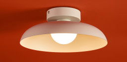 Накладной светильник Freya FR5602CL-L10W