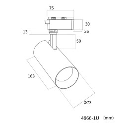 Светильник на шине Favourite 4866-1U