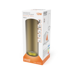 Накладной светильник Gauss HD002