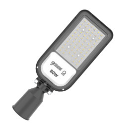 Консольный светильник Gauss 629535380