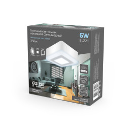 Накладной светильник Gauss BL221