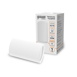 Накладной светильник Gauss HD060