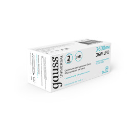 Светильник промышленный Gauss 843425236