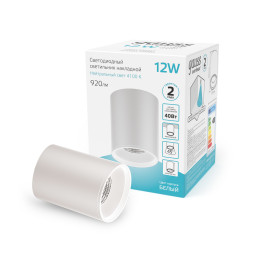 Накладной светильник Gauss HD011