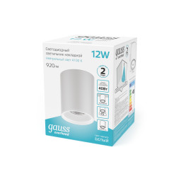 Накладной светильник Gauss HD011