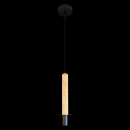 Подвесной светильник LOFT IT 10475B Black