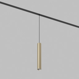 Светильник на шине Denkirs DK8008-BG