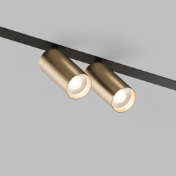 Светильник на шине Denkirs DK8012-BG