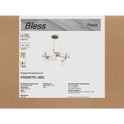 Подвесная люстра Freya FR5567PL-06G
