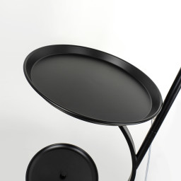 Торшер MODELUX MD.6811.01FL