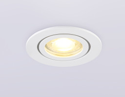 Влагозащищенный светильник Ambrella Light TN1150