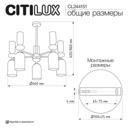 Люстра на штанге Citilux CL244151