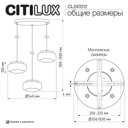 Подвесной светильник Citilux CL247012