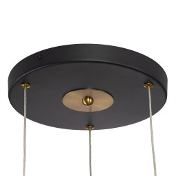 Подвесной светильник Citilux CL253020