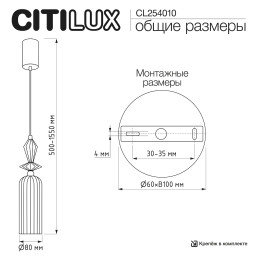 Подвесной светильник Citilux CL254010