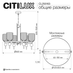 Подвесная люстра Citilux CL255163