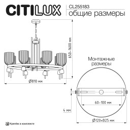Подвесная люстра Citilux CL255183