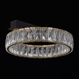 Накладная люстра Citilux CL325142