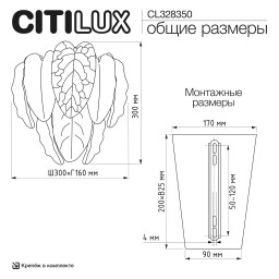 Бра Citilux CL328350