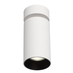 Спот Citilux CL512210