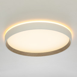 Накладной светильник Citilux CL750320R