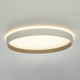 Накладной светильник Citilux CL750320R