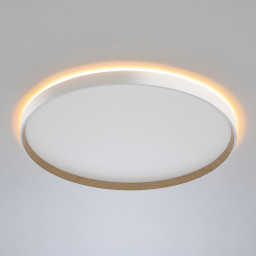 Накладной светильник Citilux CL750500R