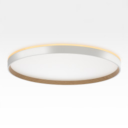 Накладной светильник Citilux CL750500R