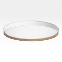 Накладной светильник Citilux CL750500R
