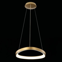 Подвесной светильник Citilux CL756A042
