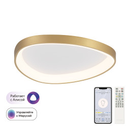 Накладной светильник Citilux CL756A142