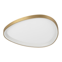 Накладной светильник Citilux CL756A162