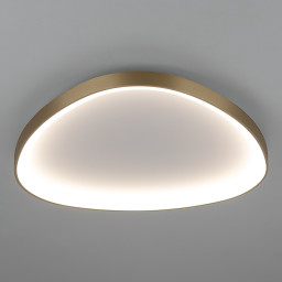 Накладной светильник Citilux CL756A162