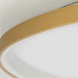 Накладной светильник Citilux CL756A162