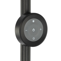 Торшер Citilux CL810031