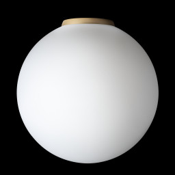 Накладной светильник Citilux CL941D25B2