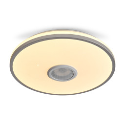 Накладной светильник Freya FR6226CL-L36W