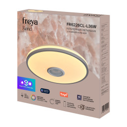 Накладной светильник Freya FR6226CL-L36W