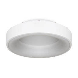 Накладной светильник Freya FR6118CL-L45W