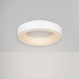 Накладной светильник Freya FR6118CL-L45W