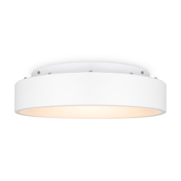 Накладной светильник Freya FR6118CL-L45W