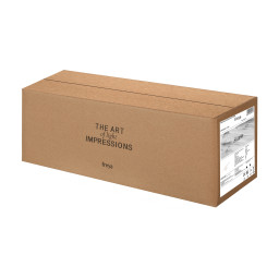 Бра Freya FR6099WL-L28W