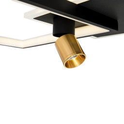 Накладной светильник Freya FR6042CL-L76BBS