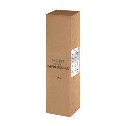 Бра Freya FR6159WL-L19B
