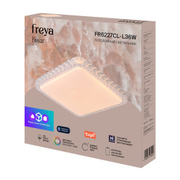 Накладной светильник Freya FR6227CL-L36W