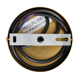 Люстра на штанге Freya FR5522PL-05BS1