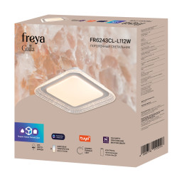 Накладной светильник Freya FR6243CL-L112W