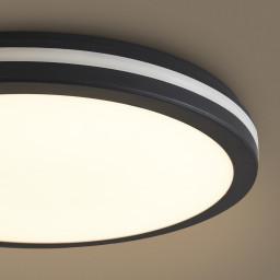 Накладной светильник Freya FR6160CL-L40B