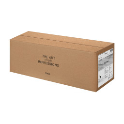 Бра Freya FR6106WL-L10B1