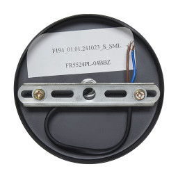Подвесной светильник Freya FR5524PL-04BBZ